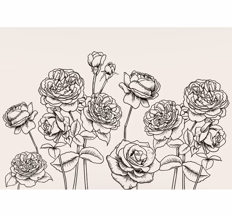 Fototapete blumen im eleganten rosendesign - TenStickers