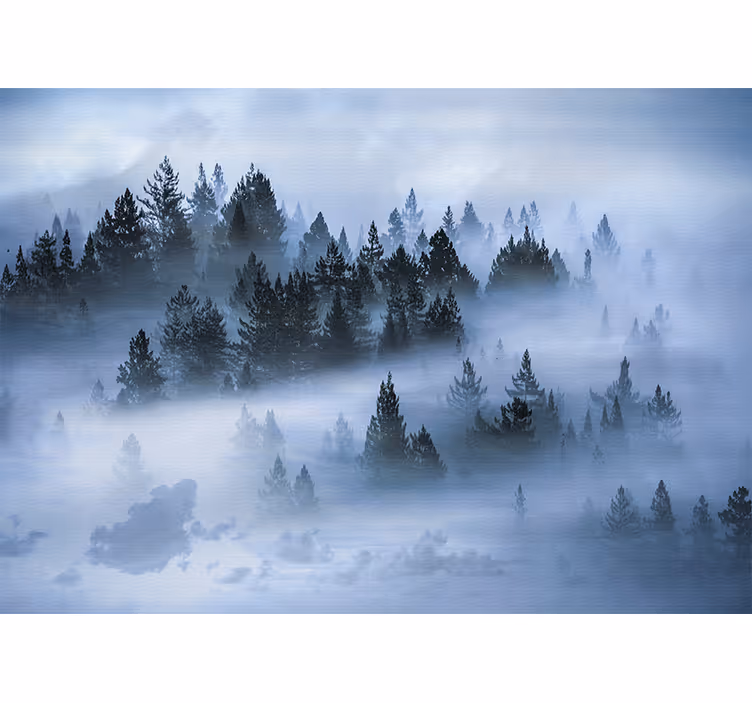 Fototapete natur nebelige immergrünwälder - TenStickers