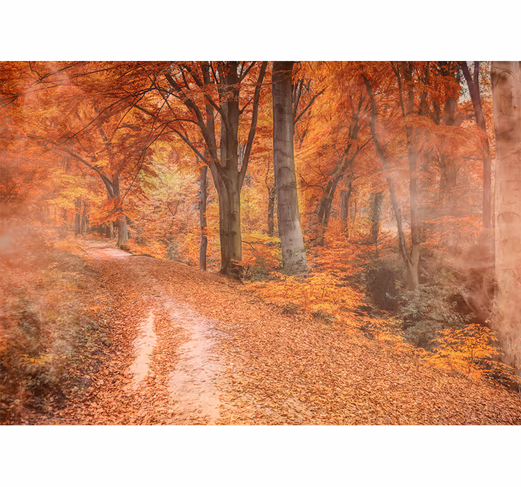 Fototapete natur herbstweg - TenStickers