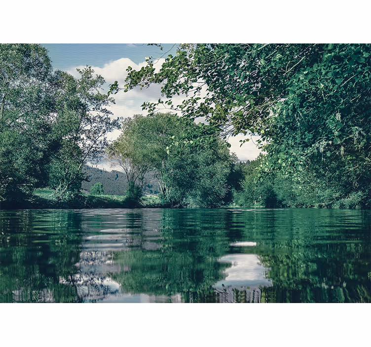 Fototapete natur ruhige flusslandschaft - TenStickers
