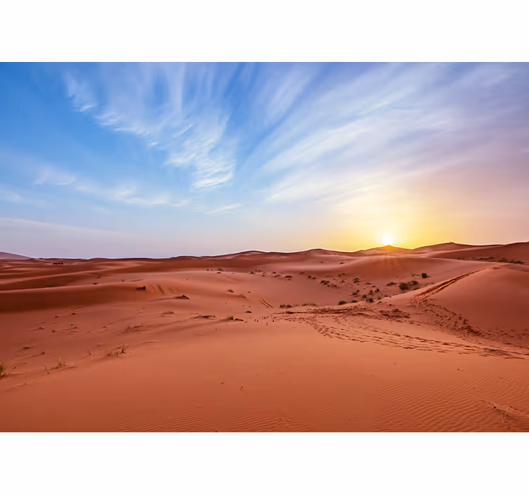 Fototapete wüste goldener sonnenuntergang - TenStickers