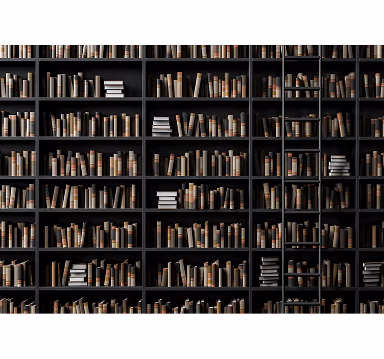 Fototapete stein bibliotheksbuchsortiment - TenStickers