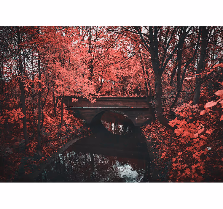 Fototapete natur roter blätterwald - TenStickers