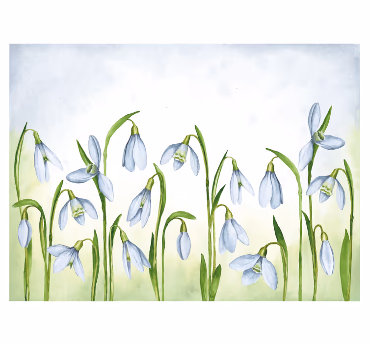Fototapete blumen schneeglöckchen flora - TenStickers
