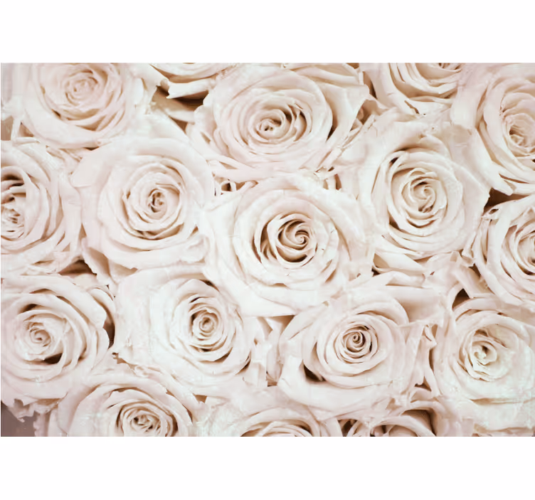 Fototapete blumen sanftes rosenarrangement - TenStickers