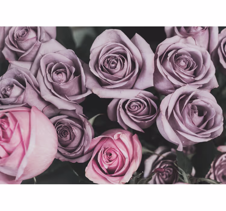 Fototapete blumen lavendel rosenstrauß - TenStickers