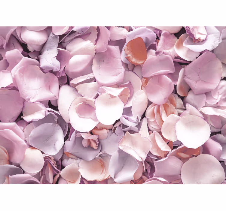 Fototapete blumen rosenblüten nahaufnahme - TenStickers