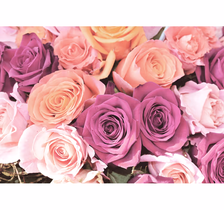 Fototapete blumen rosenstrauß nahaufnahme - TenStickers