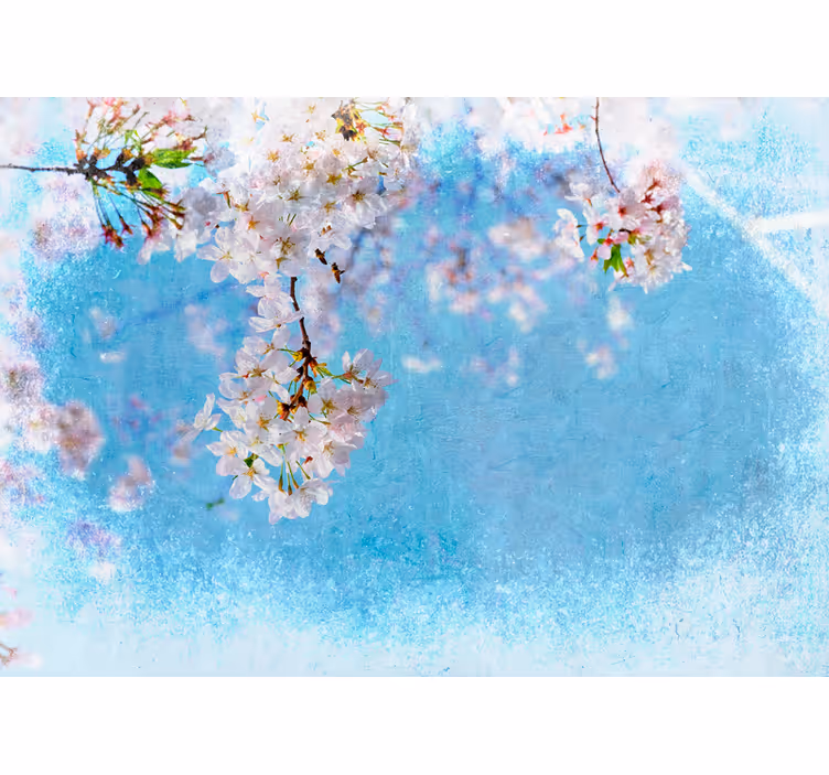 Fototapete Blumen kirschblüten gelassenheit - TenStickers