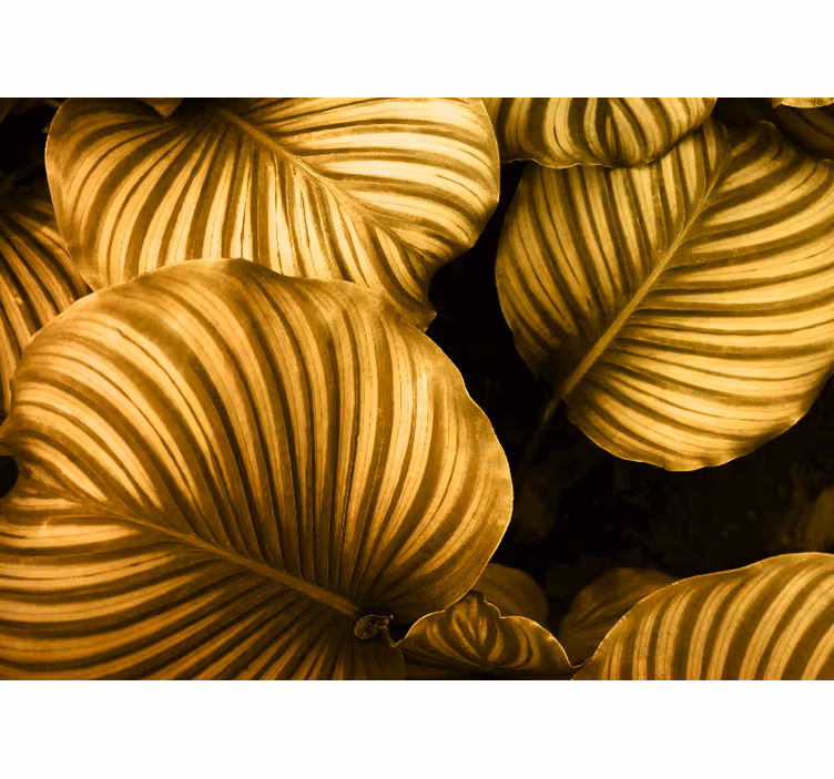 Fototapete blumen mit goldenen blättern muster - TenStickers