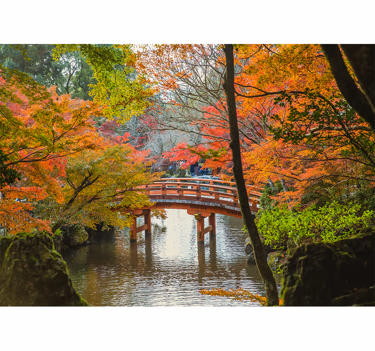 Fototapete natur herbstbrücke szene - TenStickers