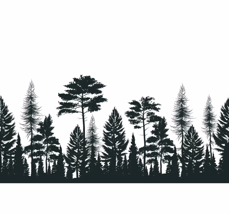Fototapete natur mit silhouettierten nadelbäumen - TenStickers