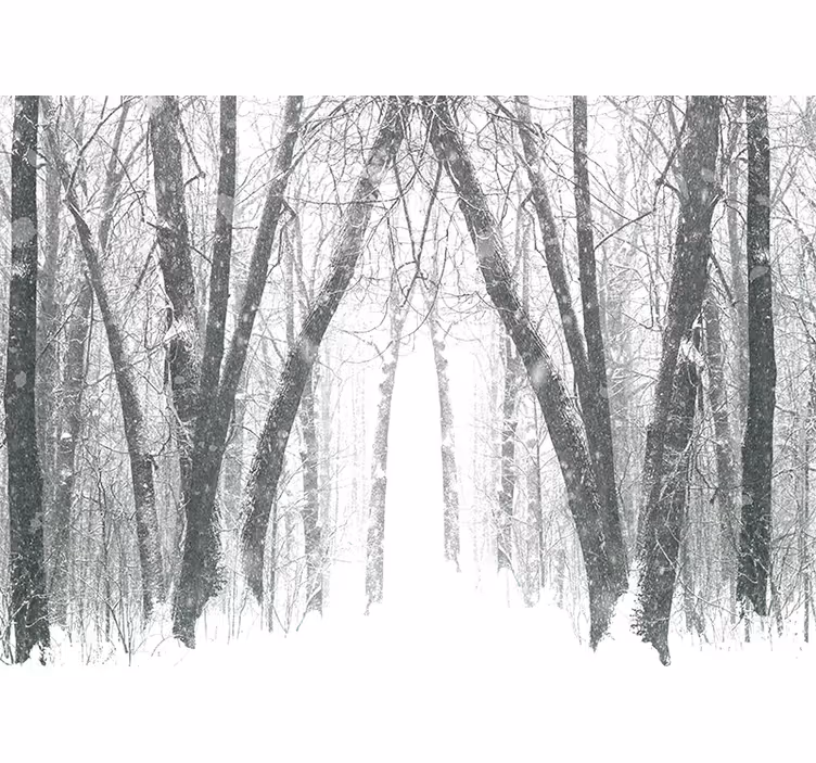 Fototapete Wald verschneiter waldweg - TenStickers