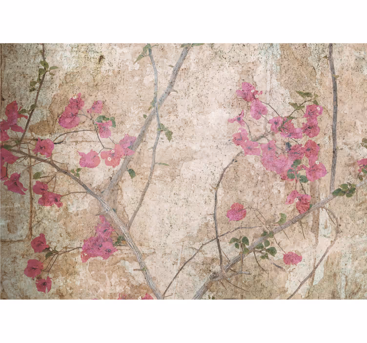 Fototapete blumen pinke bougainvillea blüten - TenStickers