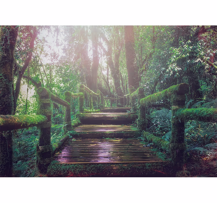 Fototapete natur moosiger waldweg - TenStickers