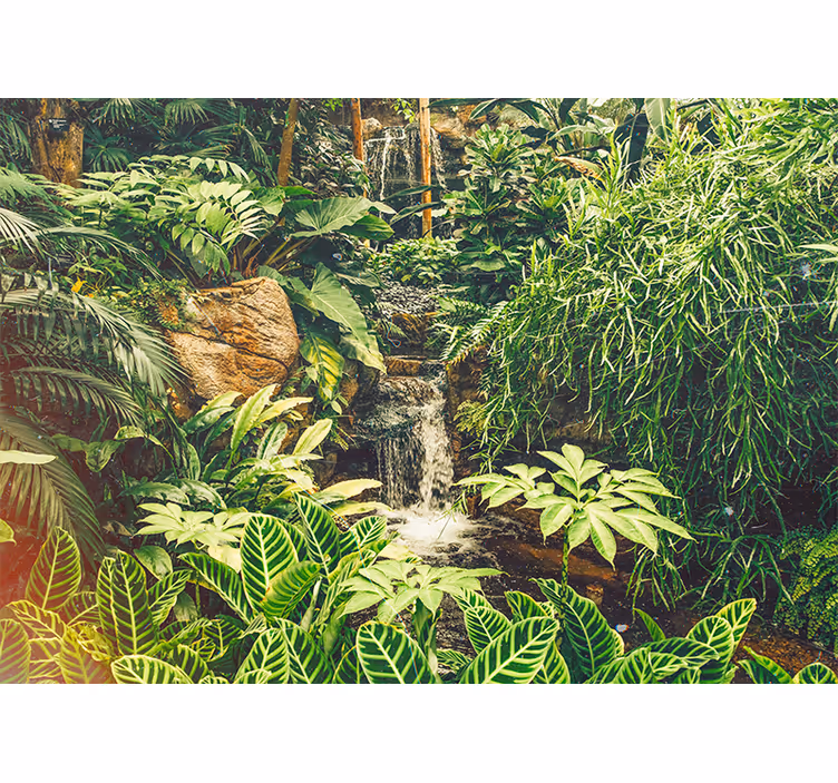 Fototapete natur lebendiges tropenparadies - TenStickers