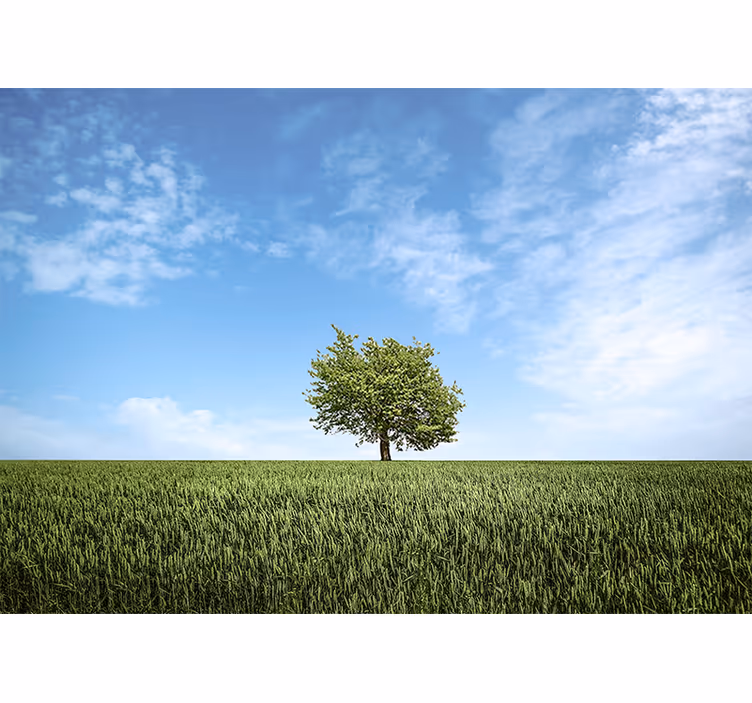 Fototapete natur einsame baumlandschaft - TenStickers