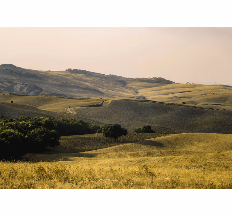 Fototapete landschaften sanfte hügel landschaft - TenStickers