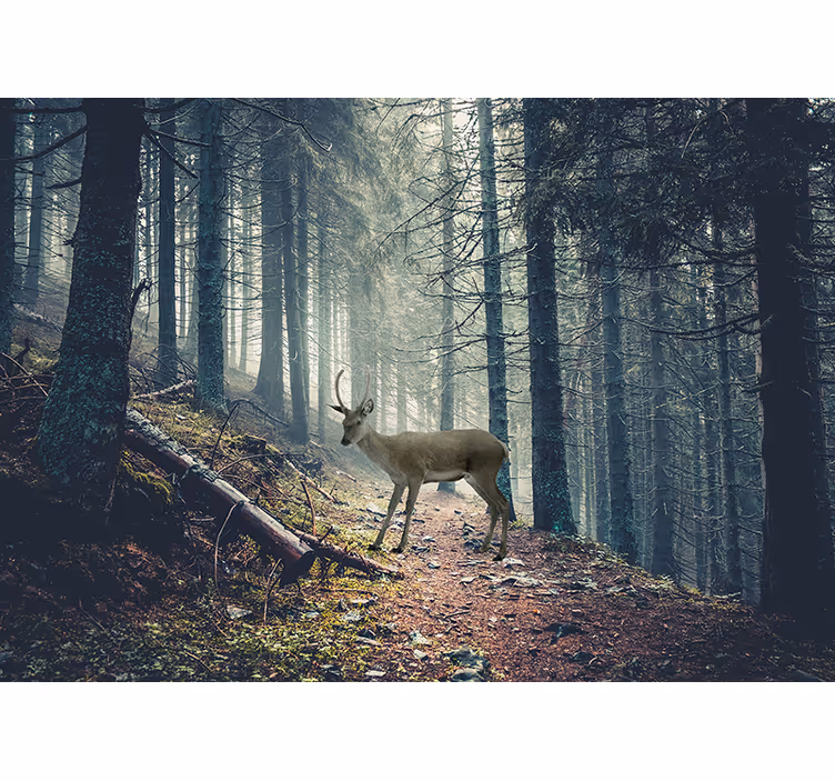Tapete wald hirsch im wald - TenStickers