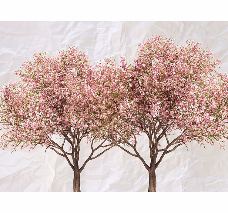 Fototapete Blumen blühende rosa bäume - TenStickers