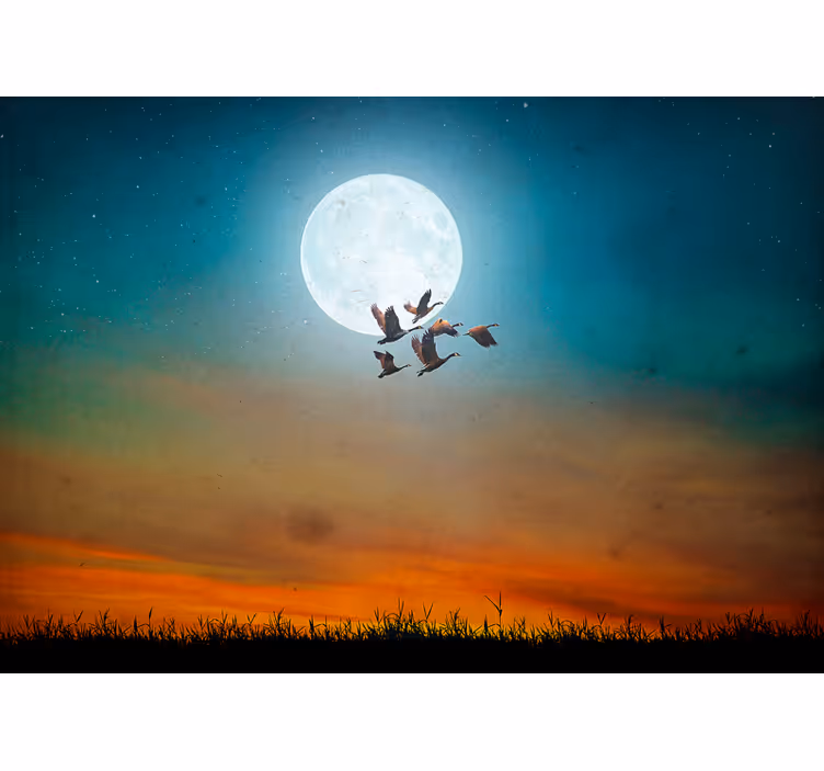 Fototapete natur mondschein himmel flock - TenStickers