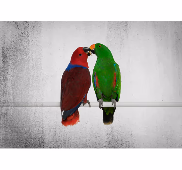 Fototapeten tiere bunte papageien interaktion - TenStickers