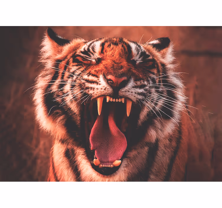 Fototapeten tiere majestischer tigerbrüller - TenStickers