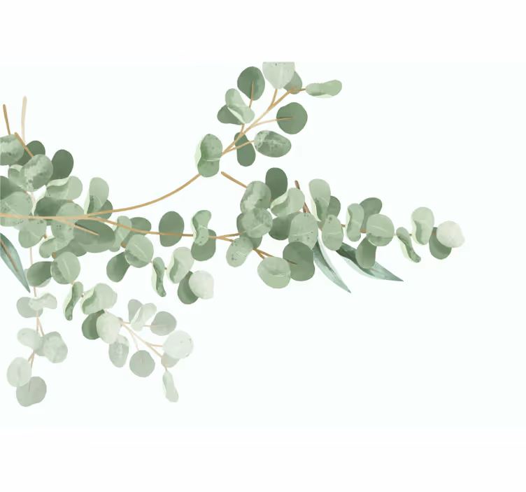 Fototapete blumen eukalyptusblatt arrangement - TenStickers
