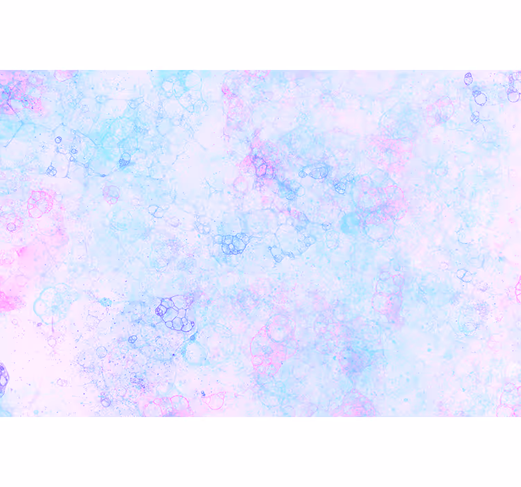 Fototapete rosa und blaue Blasen - TenStickers