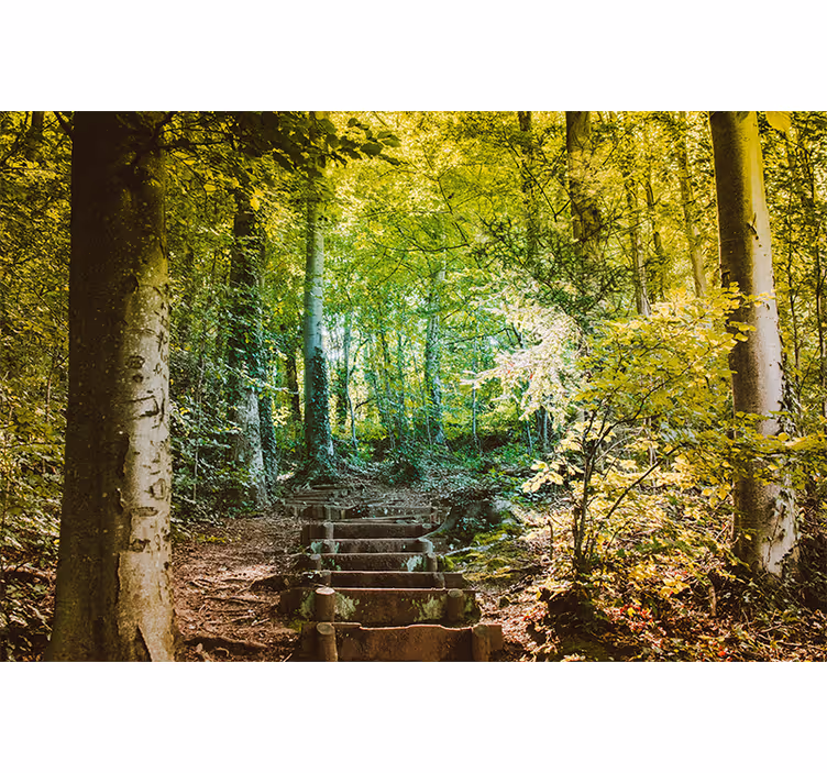 Fototapete Wald Weg mit Treppen - TenStickers