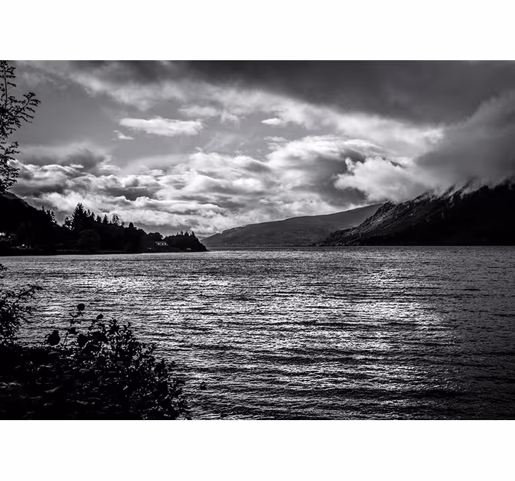 Fototapete Landschaften monochromer seeblick - TenStickers