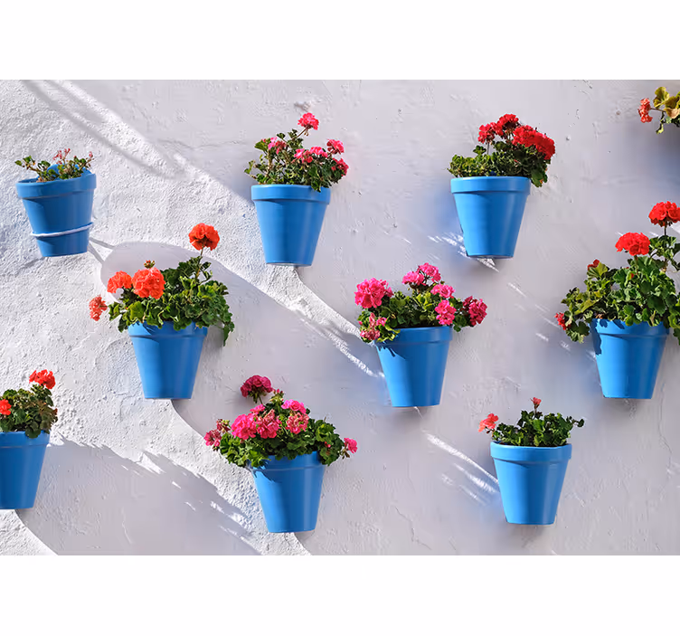 Fototapete Blumen blumenampeltöpfe - TenStickers
