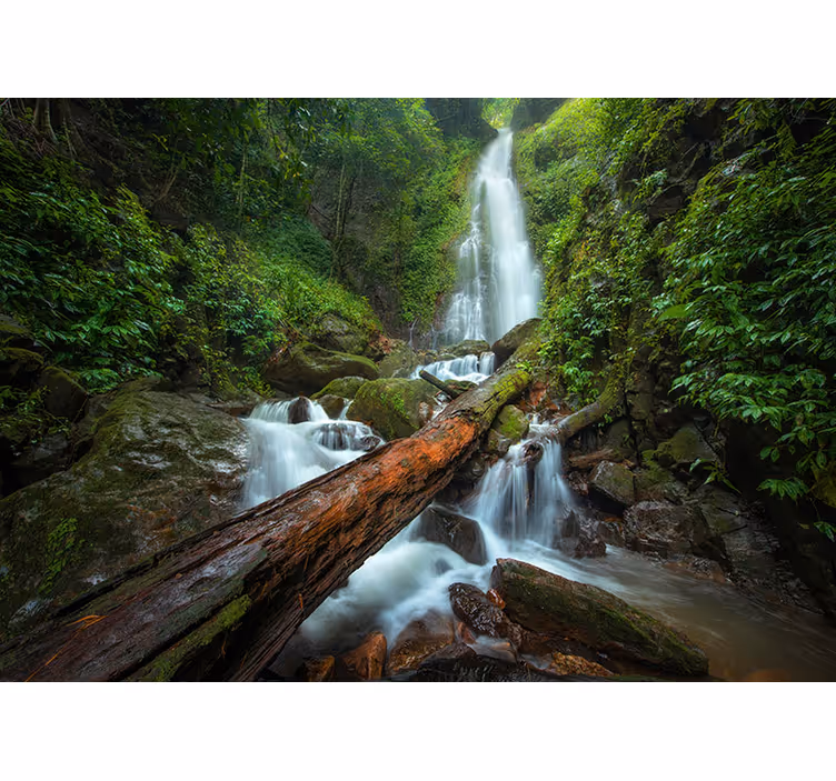 Fototapete Wasserfall ruhige wasserfallkaskade - TenStickers