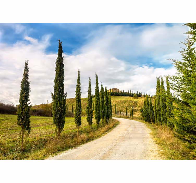 Fototapete Natur aussicht auf die toskanische landschaft - TenStickers