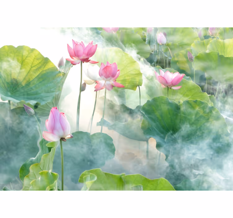Fototapete Andere Blumen Friedliche lotusblumen - TenStickers