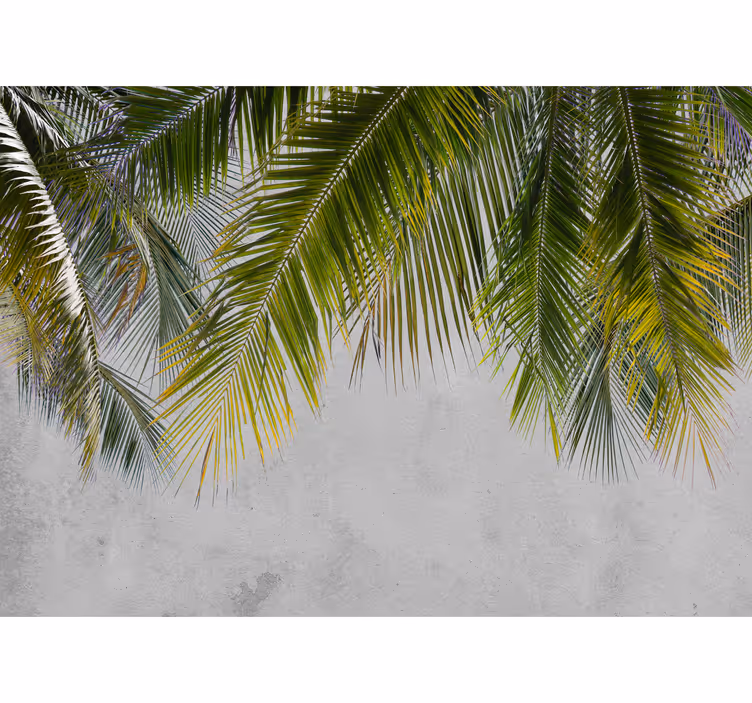 Fototapete Wohnzimmer palm Blätter hängen - TenStickers