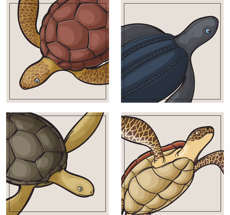 Untersetzer geek mit bunten schildkrötenmotiven - TenStickers