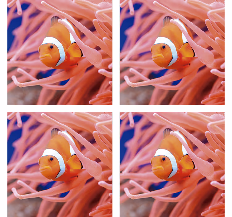 Untersetzer modern clownfisch unterwasserwelt - TenStickers