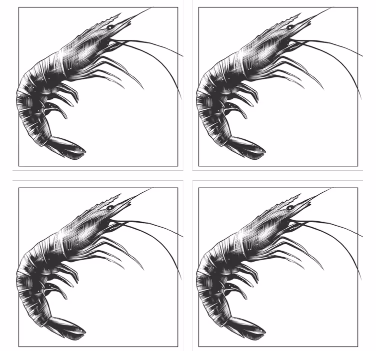 Untersetzer modern mit stilisierter garnelen-illustration - TenStickers