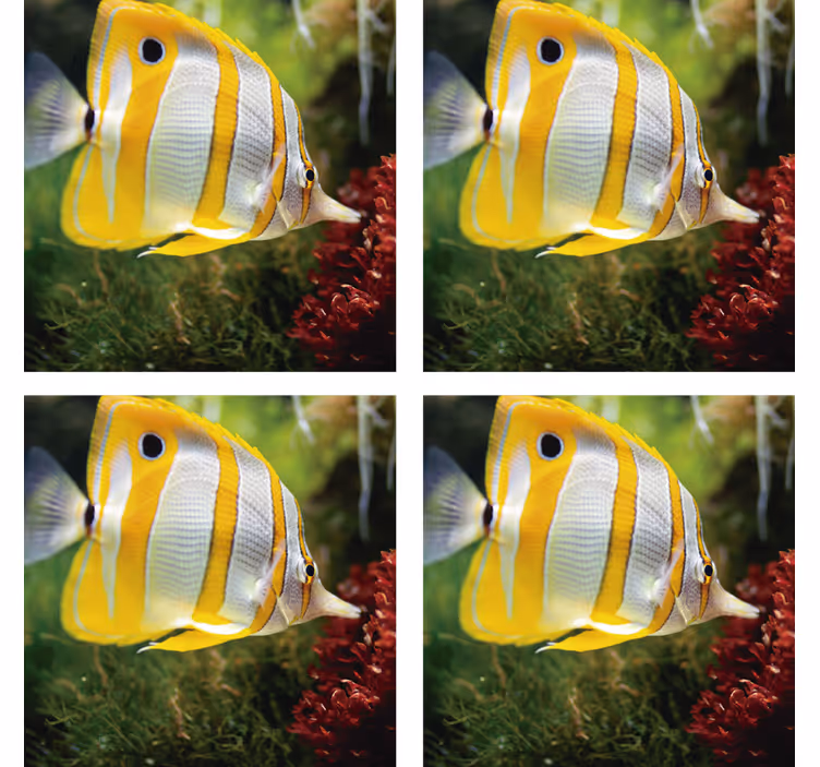Untersetzer modern mit leuchtendem fischmotiv - TenStickers