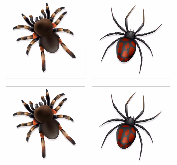 Untersetzer halloween spooky spinnen kollektion - TenStickers