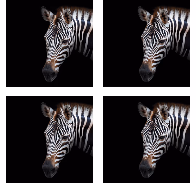 Untersetzer modern mit zebra kopf illustration - TenStickers