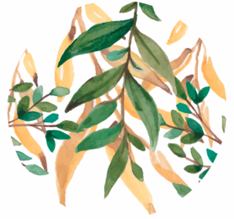 Bierdeckel mit blattgrünem botanischen design - TenStickers