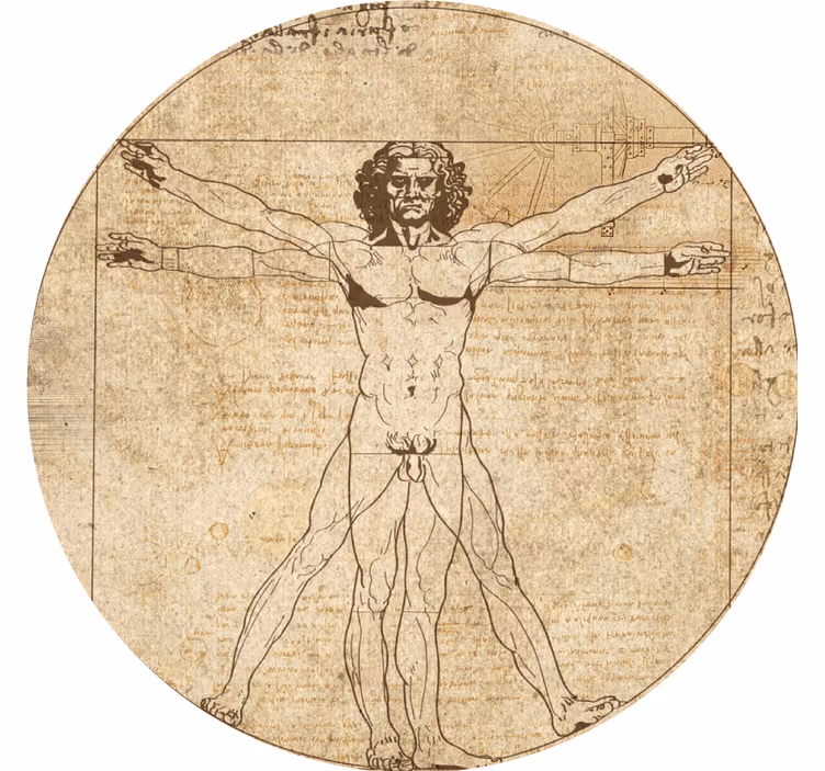 Untersetzer modern vitruvianische figur illustration - TenStickers