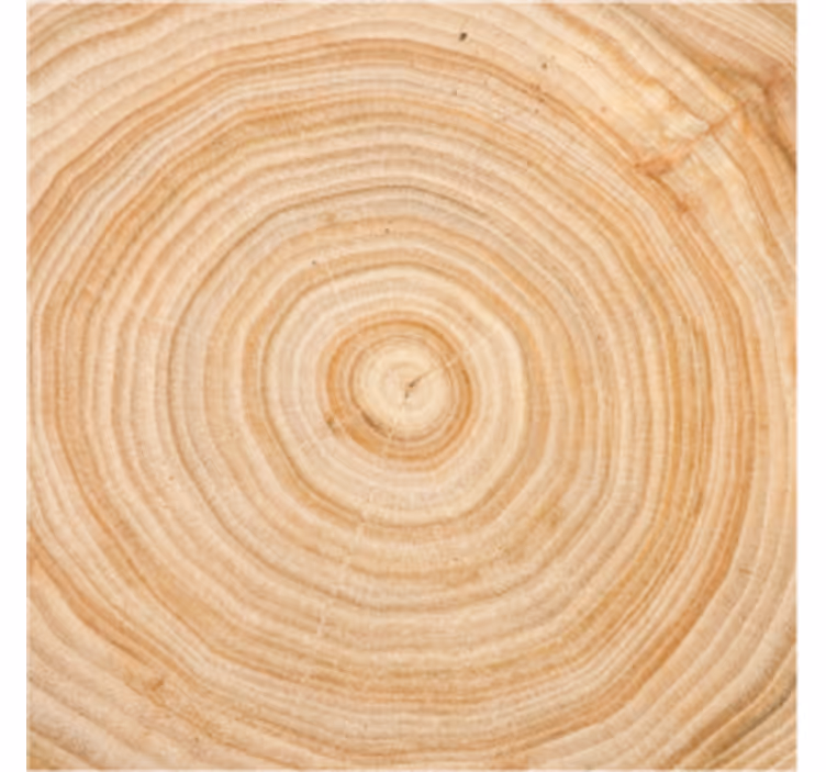 Untersetzer aus holz mit maserung rund - TenStickers