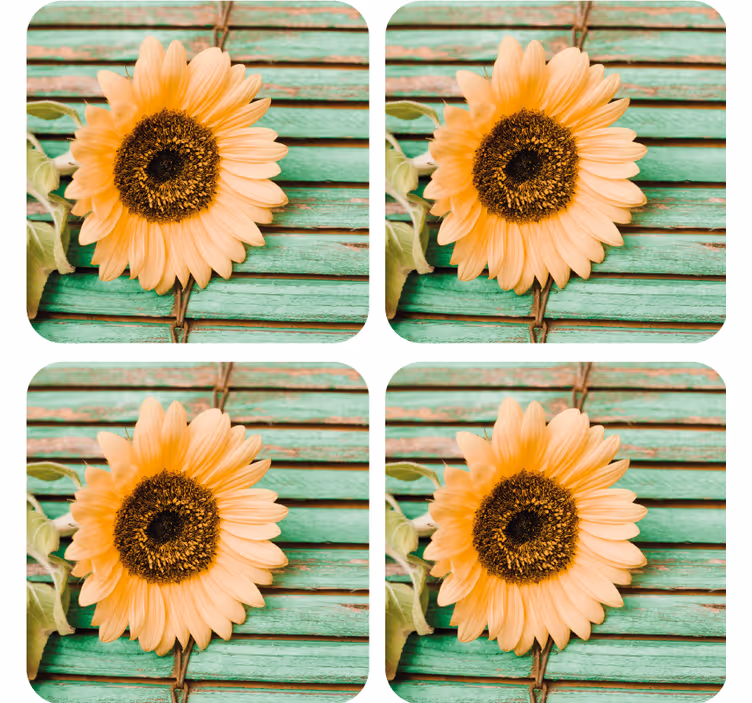 Untersetzer modern sonnenblume auf grünem hintergrund - TenStickers
