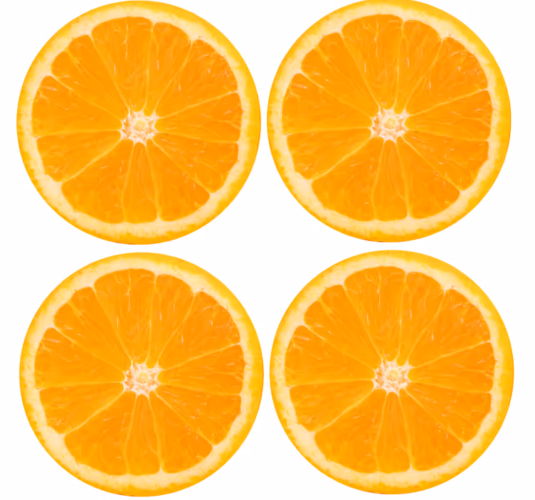 Untersetzer modern zitrusfrüchte scheiben arrangement - TenStickers