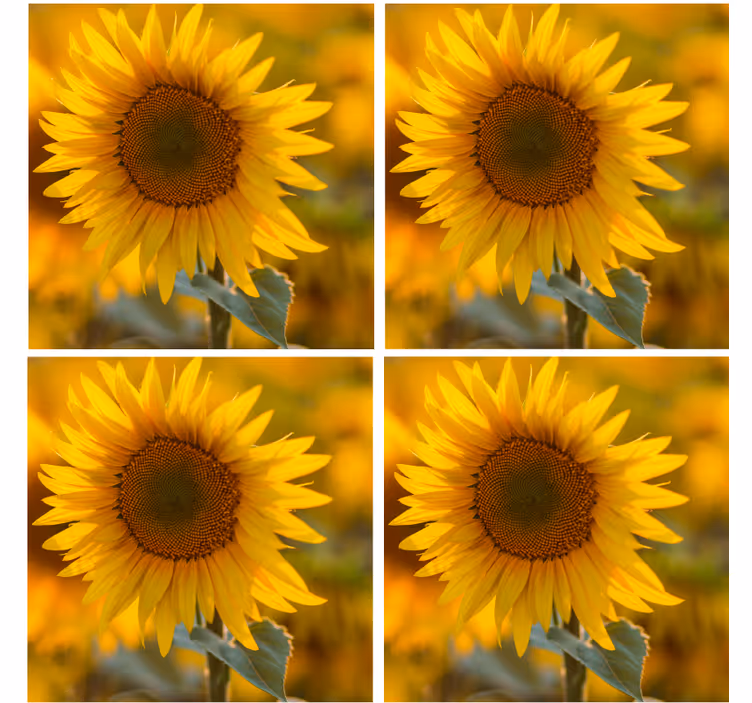 Untersetzer modern strahlendes sonnenblumenarrangement - TenStickers