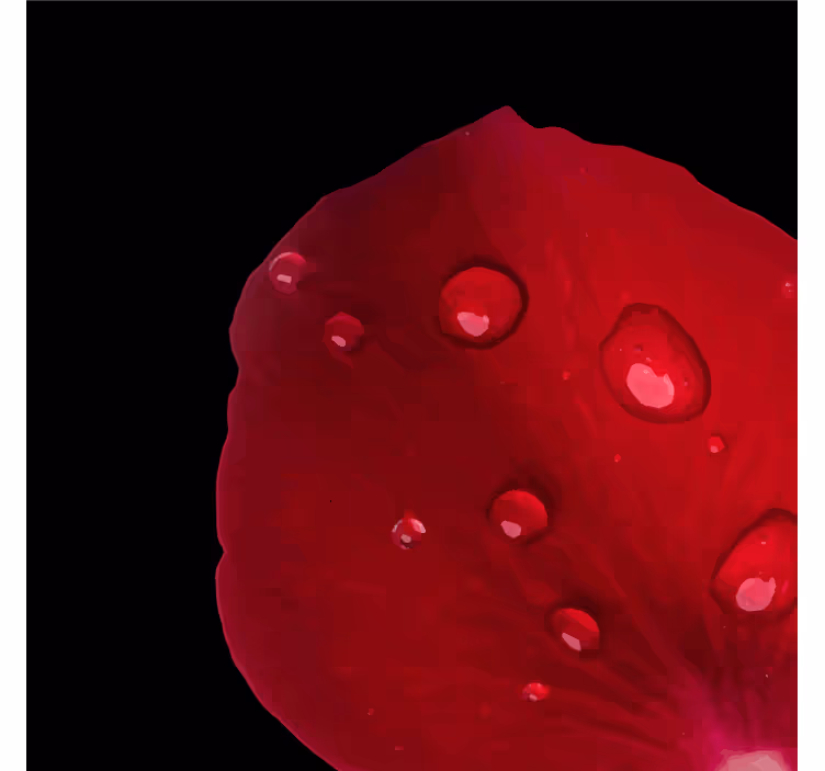 Untersetzer mit taufrischen rosenblättern - TenStickers
