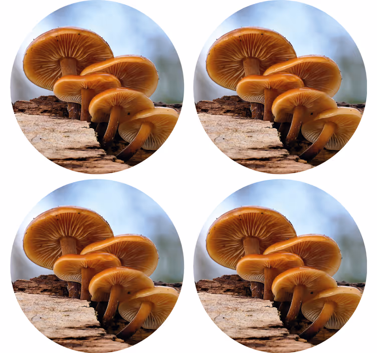 Untersetzer modern pilzcluster arrangement - TenStickers